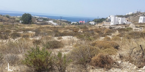 Land Plot at Elia for Sale - Greece - 4000 m2
